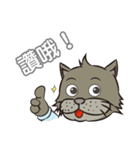 Gray cat with tiger Taro Pills（個別スタンプ：20）