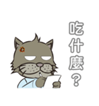 Gray cat with tiger Taro Pills（個別スタンプ：23）