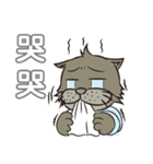 Gray cat with tiger Taro Pills（個別スタンプ：25）