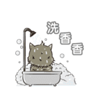 Gray cat with tiger Taro Pills（個別スタンプ：30）