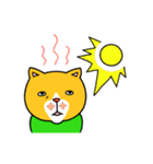 とある猫の毎日（個別スタンプ：9）