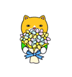 とある猫の毎日（個別スタンプ：12）