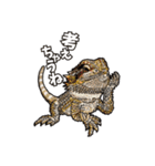 Pogona（個別スタンプ：2）