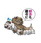 Pogona（個別スタンプ：3）