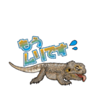 Pogona（個別スタンプ：6）
