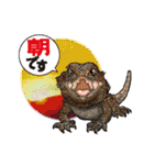 Pogona（個別スタンプ：8）