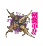 Pogona（個別スタンプ：9）