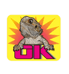 Pogona（個別スタンプ：12）