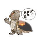 Pogona（個別スタンプ：14）