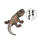 Pogona（個別スタンプ：26）