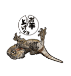 Pogona（個別スタンプ：29）
