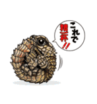 Pogona（個別スタンプ：33）