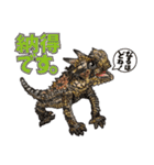 Pogona（個別スタンプ：35）