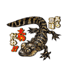 Pogona（個別スタンプ：37）