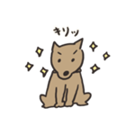 柴犬BOSS（個別スタンプ：7）