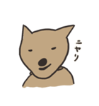 柴犬BOSS（個別スタンプ：8）