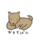 柴犬BOSS（個別スタンプ：15）