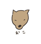 柴犬BOSS（個別スタンプ：16）