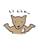 柴犬BOSS（個別スタンプ：20）