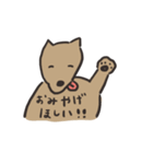 柴犬BOSS（個別スタンプ：29）