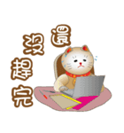 かわいい猫の運勢-3（個別スタンプ：24）