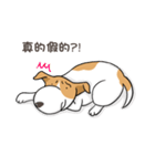 frown puppy（個別スタンプ：12）