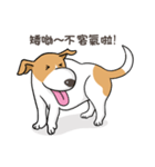 frown puppy（個別スタンプ：15）