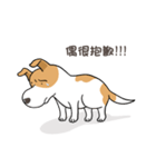 frown puppy（個別スタンプ：16）