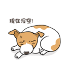 frown puppy（個別スタンプ：20）