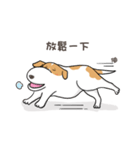 frown puppy（個別スタンプ：34）