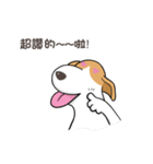 frown puppy（個別スタンプ：36）