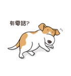 frown puppy（個別スタンプ：40）