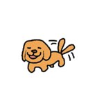 【NEW！】【犬】茶色いケンちゃん。（個別スタンプ：13）
