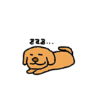 【NEW！】【犬】茶色いケンちゃん。（個別スタンプ：17）