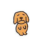 【NEW！】【犬】茶色いケンちゃん。（個別スタンプ：22）