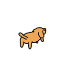 【NEW！】【犬】茶色いケンちゃん。（個別スタンプ：29）