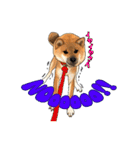 柴犬たまと愉快な仲間たち（個別スタンプ：3）