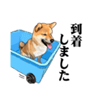 柴犬たまと愉快な仲間たち（個別スタンプ：14）
