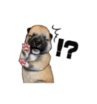 柴犬たまと愉快な仲間たち（個別スタンプ：25）