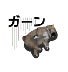 柴犬たまと愉快な仲間たち（個別スタンプ：27）