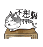 Miruku（個別スタンプ：3）