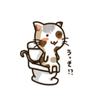 Resentful cat PUPU-japanese（個別スタンプ：1）