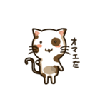 Resentful cat PUPU-japanese（個別スタンプ：6）