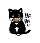 Jasper's Cats（個別スタンプ：2）