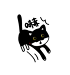 Jasper's Cats（個別スタンプ：6）