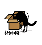 Jasper's Cats（個別スタンプ：11）