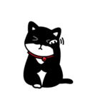 Jasper's Cats（個別スタンプ：13）