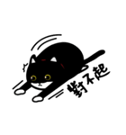 Jasper's Cats（個別スタンプ：17）