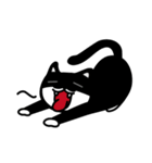 Jasper's Cats（個別スタンプ：19）