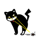Jasper's Cats（個別スタンプ：20）